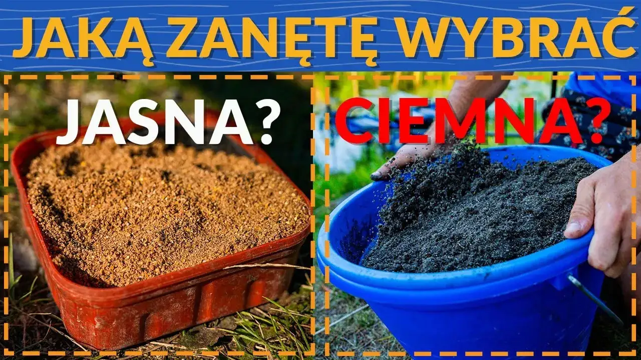 Różnice w zanętach rzecznych i jeziornych infografika