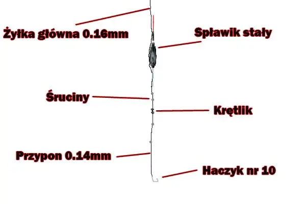 Anatomia zestawu spławikowego z opisem elementów