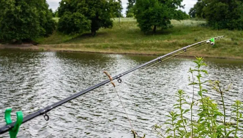 rodzaje wędek spławikowych bat match bolonka
