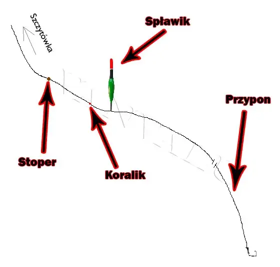 Montaż spławika stałego schemat