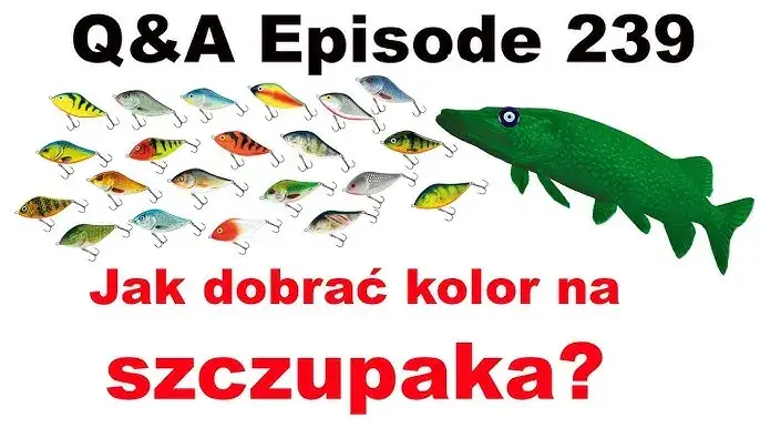 kolory przynęt na szczupaka w różnych warunkach