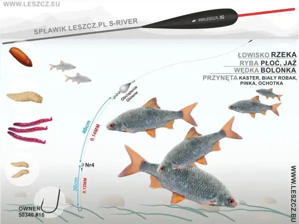 Na ilustracji wędkarz przygotowuje zestaw z przynętą, w tym różową ochotką, by złowić płoć lub jaź.
